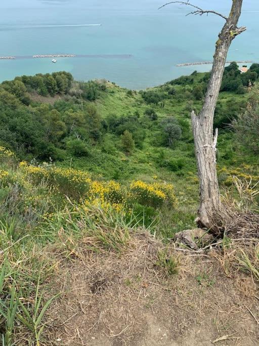 Villa Parisi Luxury Italian Villa Fano Kültér fotó